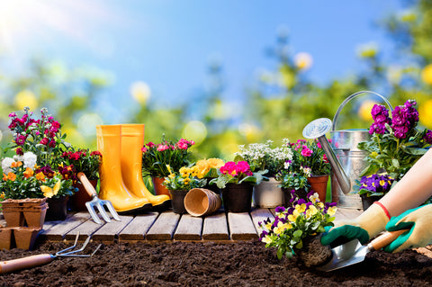 How to Prepare Your Garden for Spring