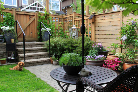 Our Favorite Garden Paving Ideas